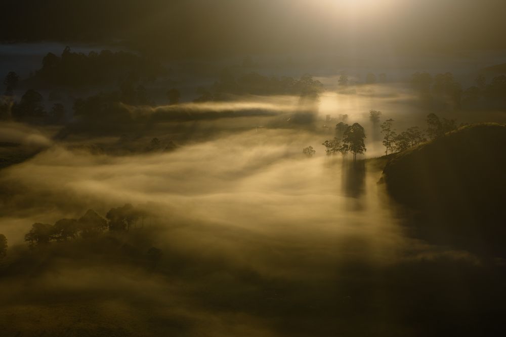 Photograph by Sriram Rajeswaran