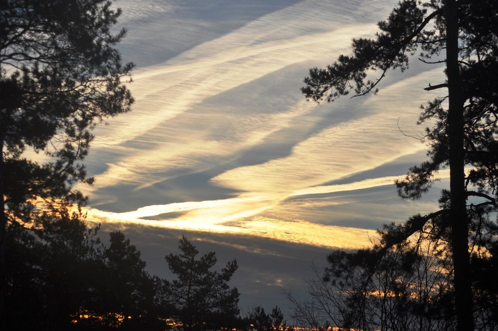 Photograph by Николай Николаевич Леухин