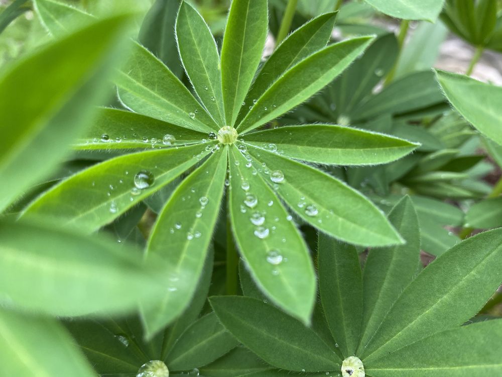 Photograph by Оля