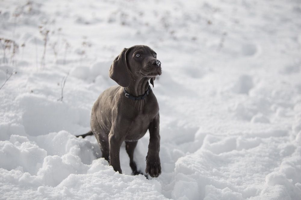 Photograph by Lilli Ellert