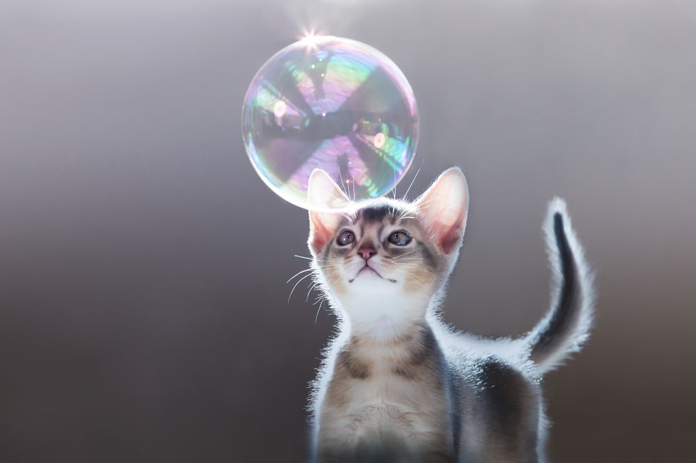 Photograph by Denis Korolev