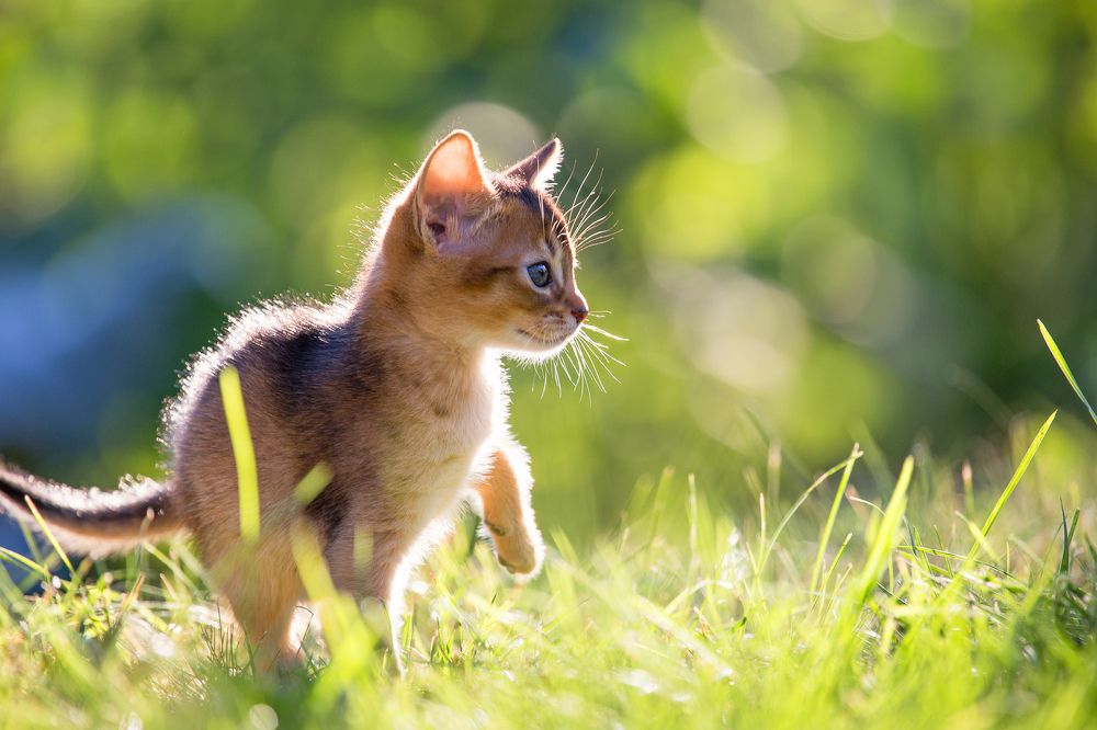 Photograph by Denis Korolev