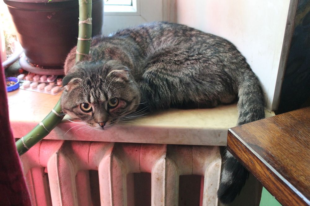 Photograph by Денис Птюшкин