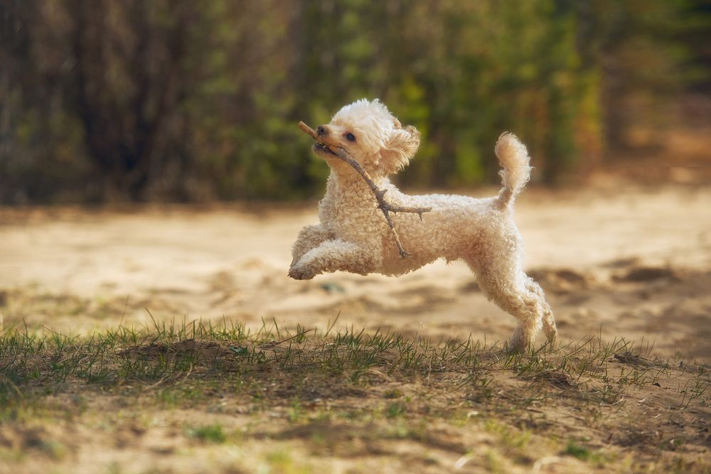 Photograph by Natalia Badyul