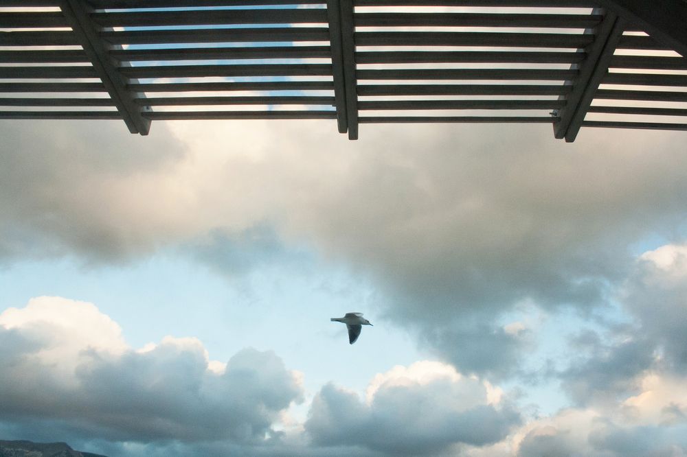 Photograph by Анна