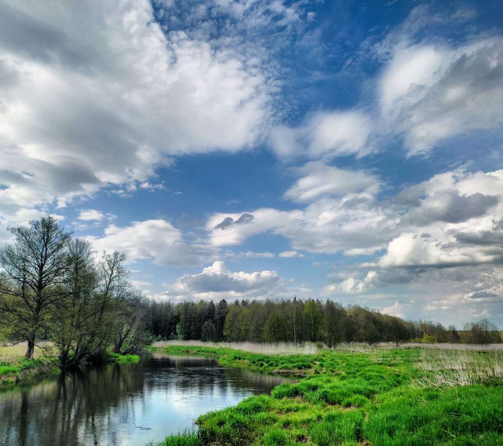 Photograph by Михаил Бородкин