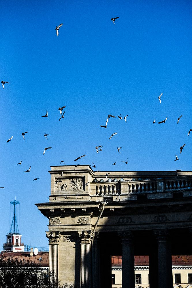 Photograph by Светлана Безлепкина