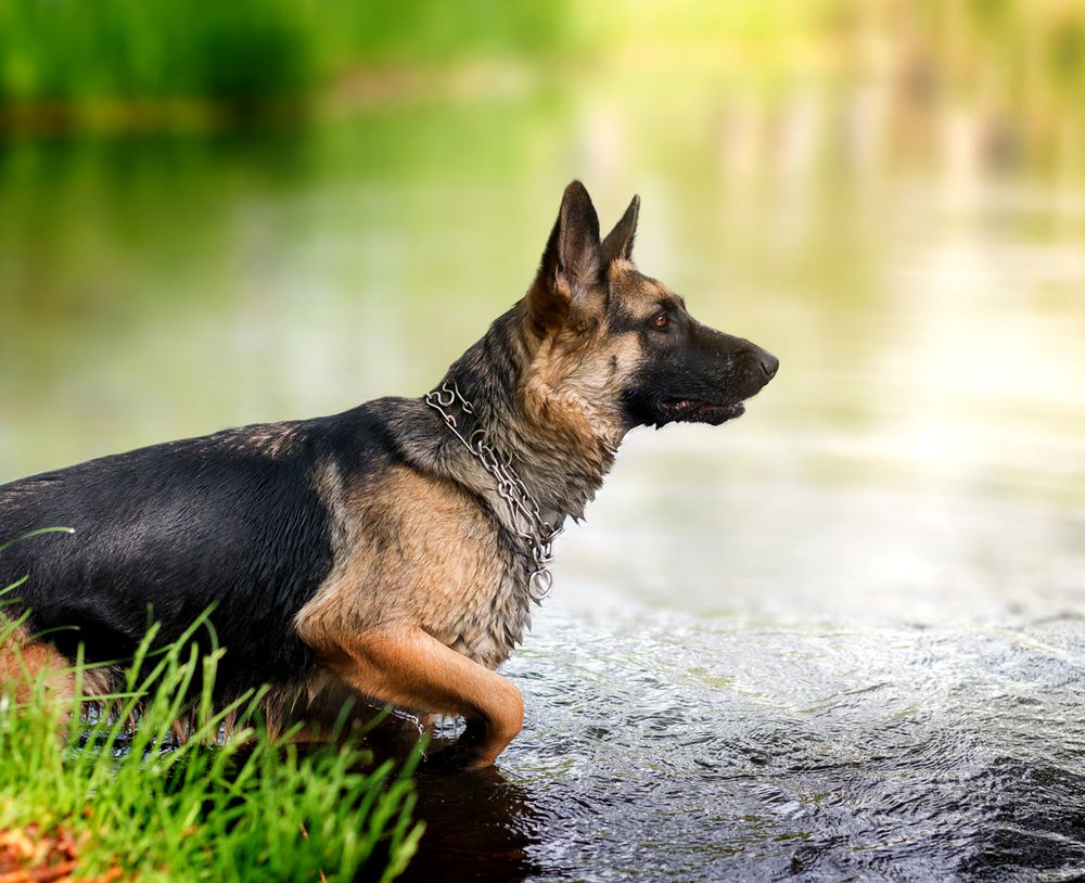 Photograph by Анна Айбетова