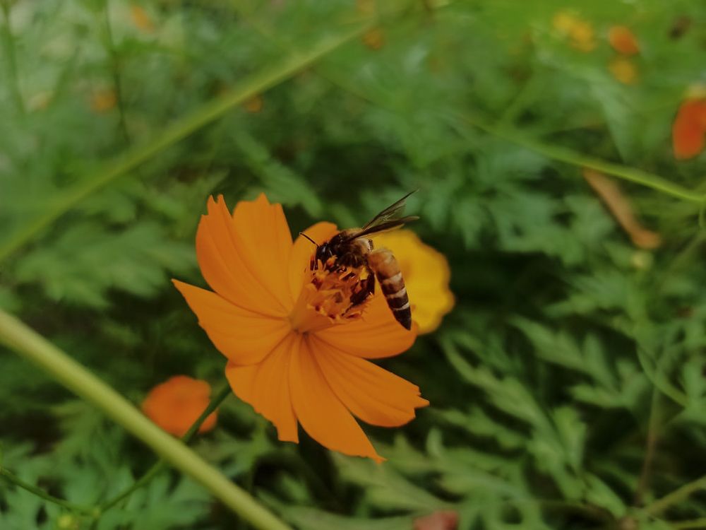 Photograph by Gayathri Gurram