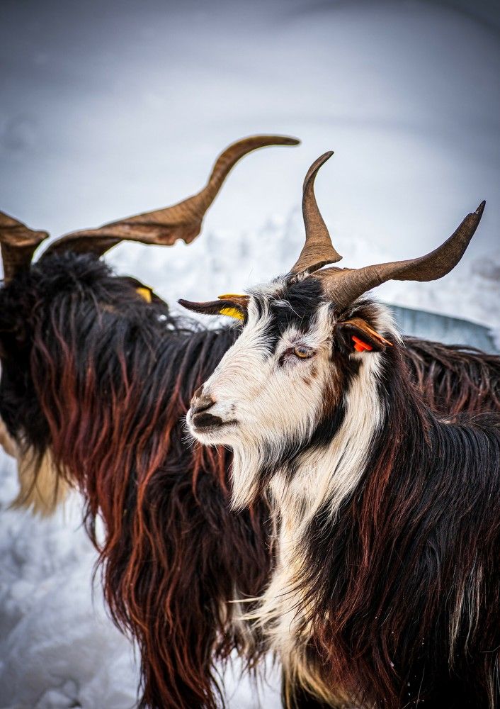 Photograph by Svetoslav Georgiev