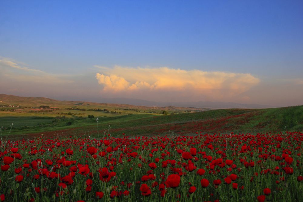 Photograph by Тихонина Анна