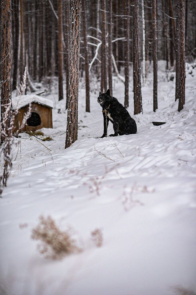 Photograph by Светлана Безлепкина