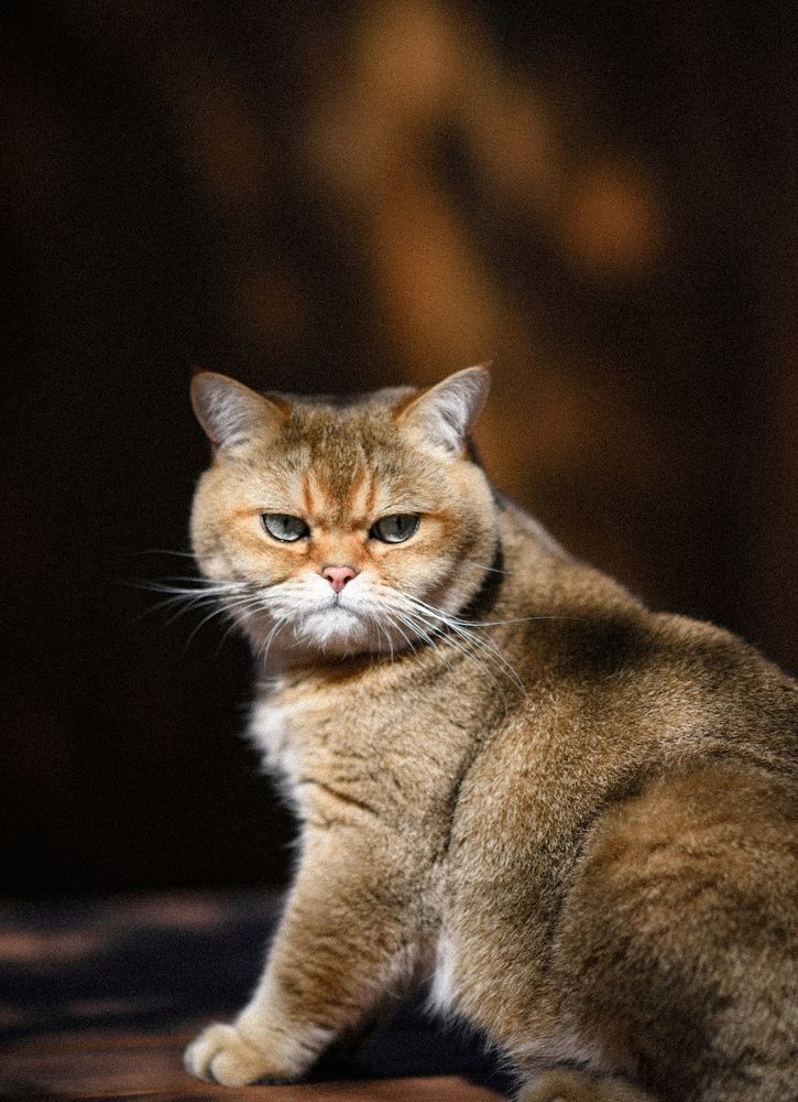 Photograph by Светлана Безлепкина