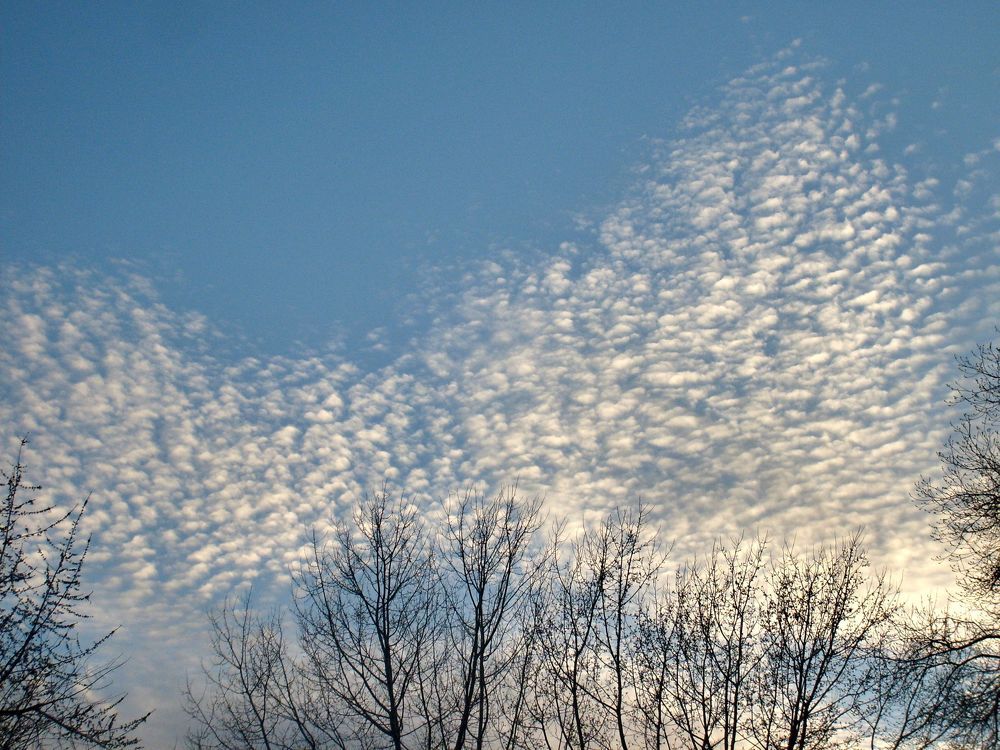 Photograph by Светлана Карпенко