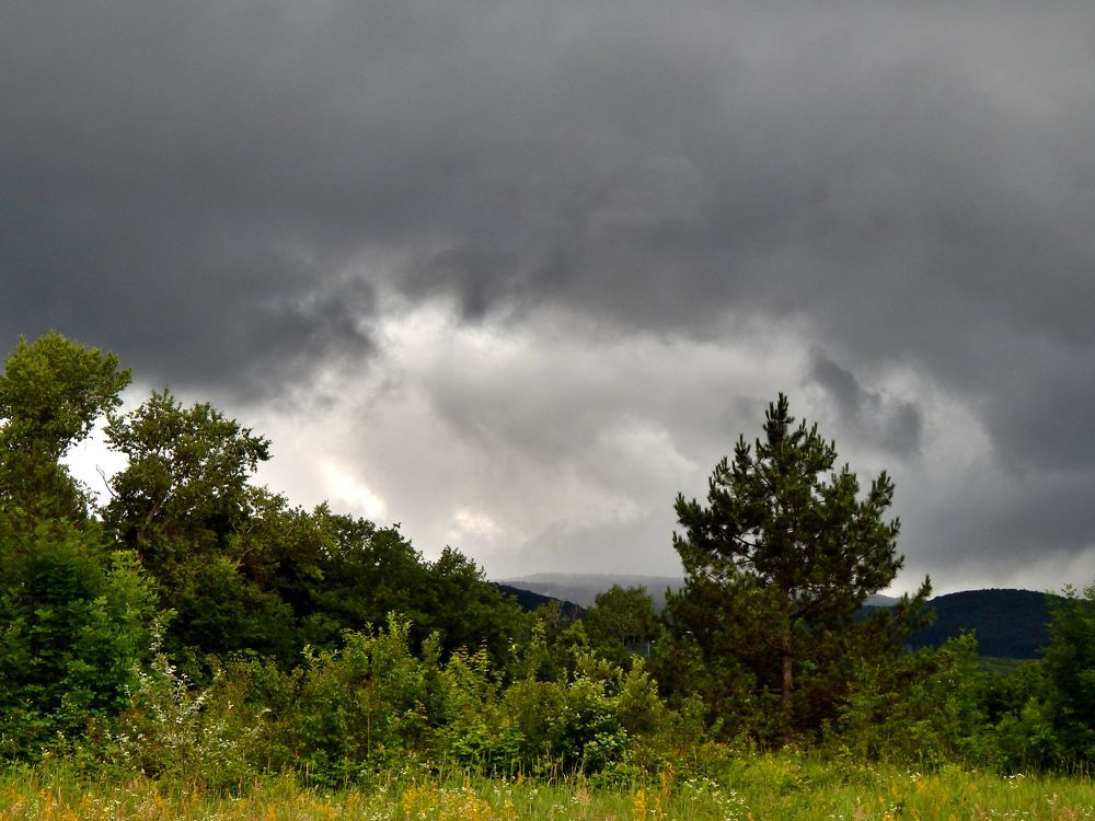 Photograph by Светлана Карпенко
