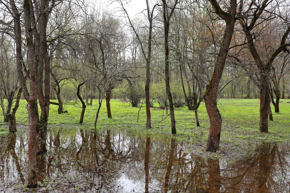 Photograph by Константин Лагоденко