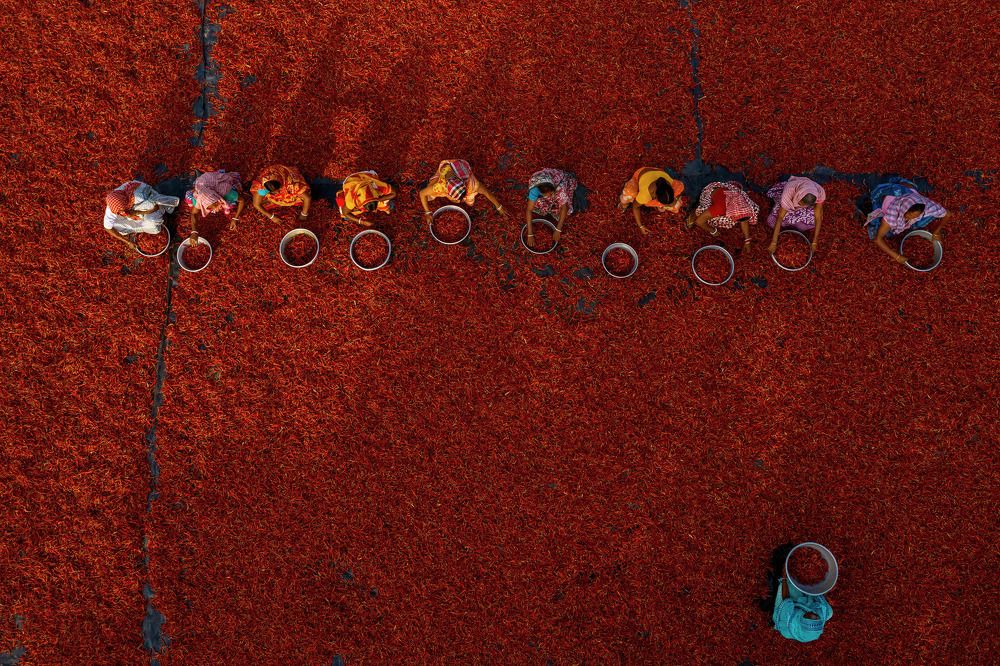 Photograph by Shibasish Saha