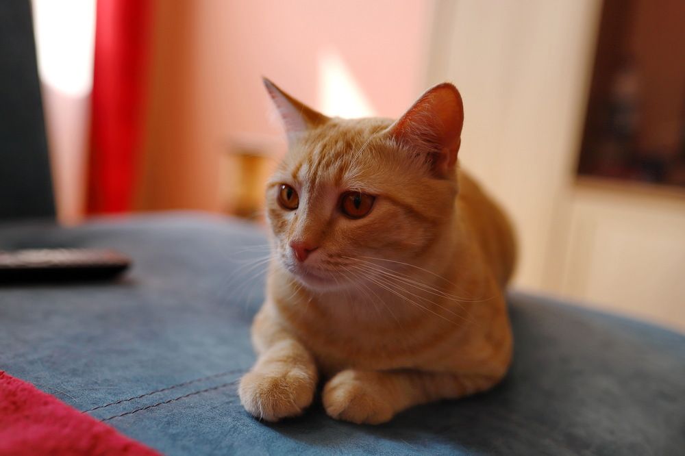 Photograph by Константин Лагоденко