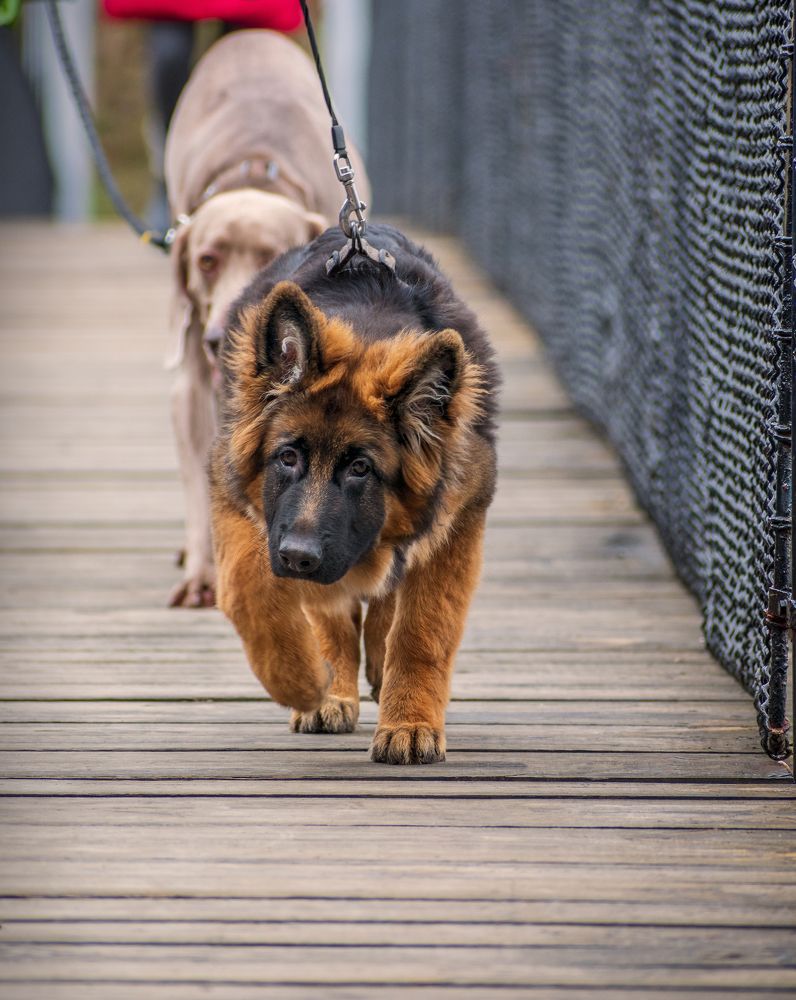 Photograph by Svetoslav Georgiev