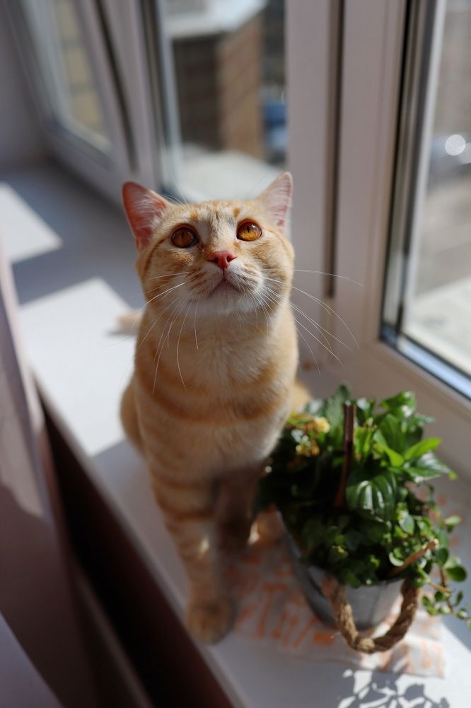 Photograph by Константин Лагоденко