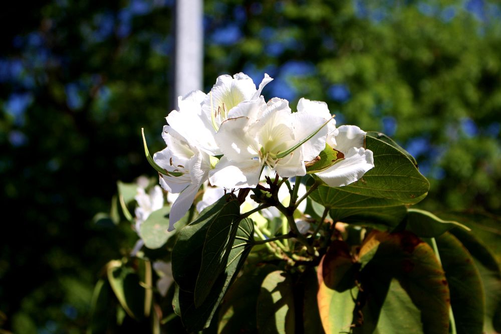 Photograph by Сергей Рапопорт