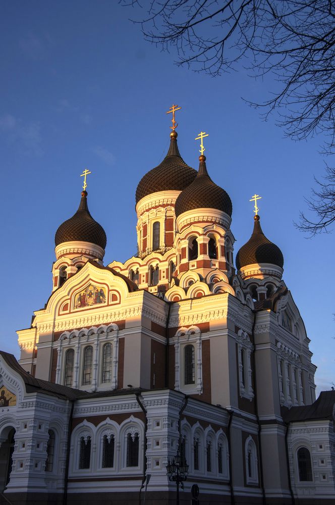 Photograph by Nadezda Sarap