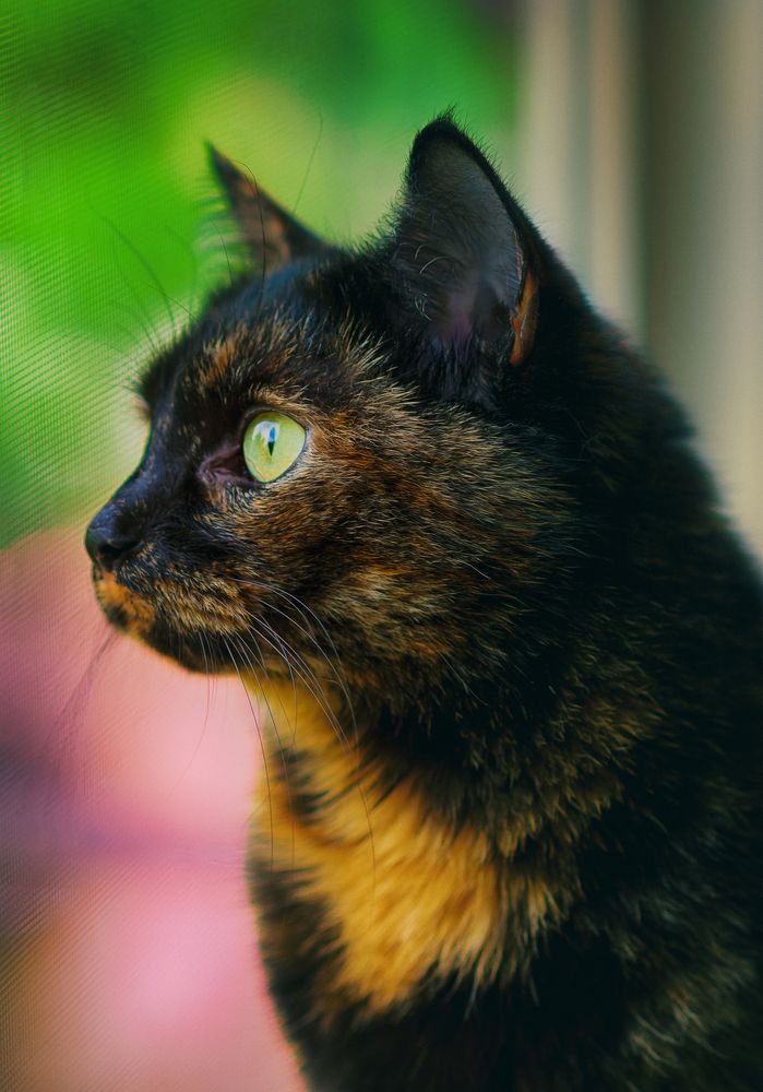 Photograph by Игорь Хижняк