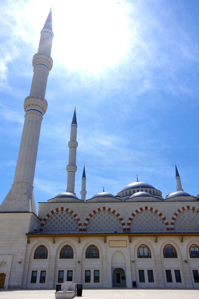 Photograph by Nadezda Sarap