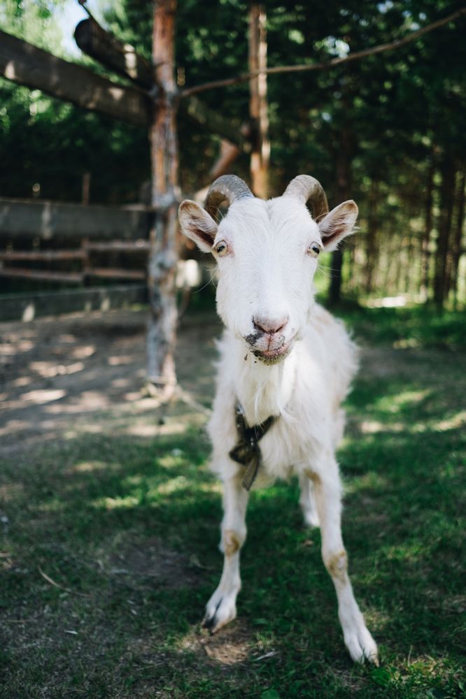 Photograph by Юлия Балдина