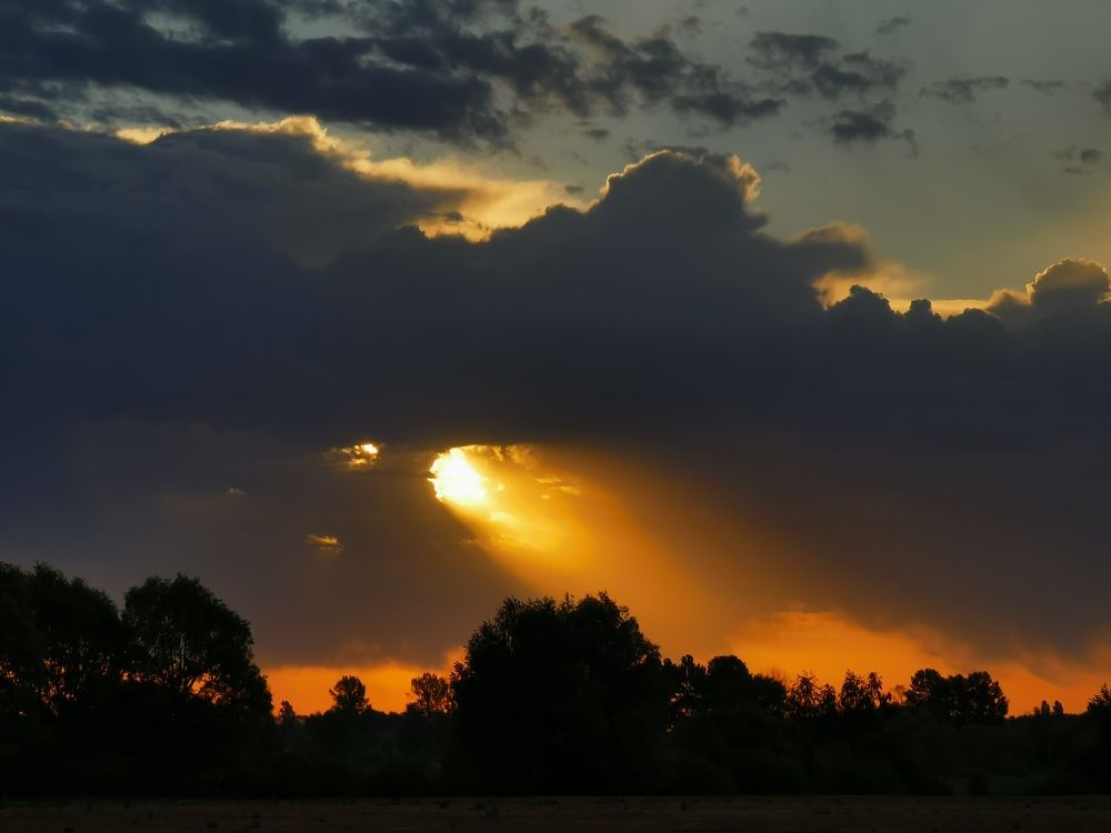 Photograph by Алексей Тарасов