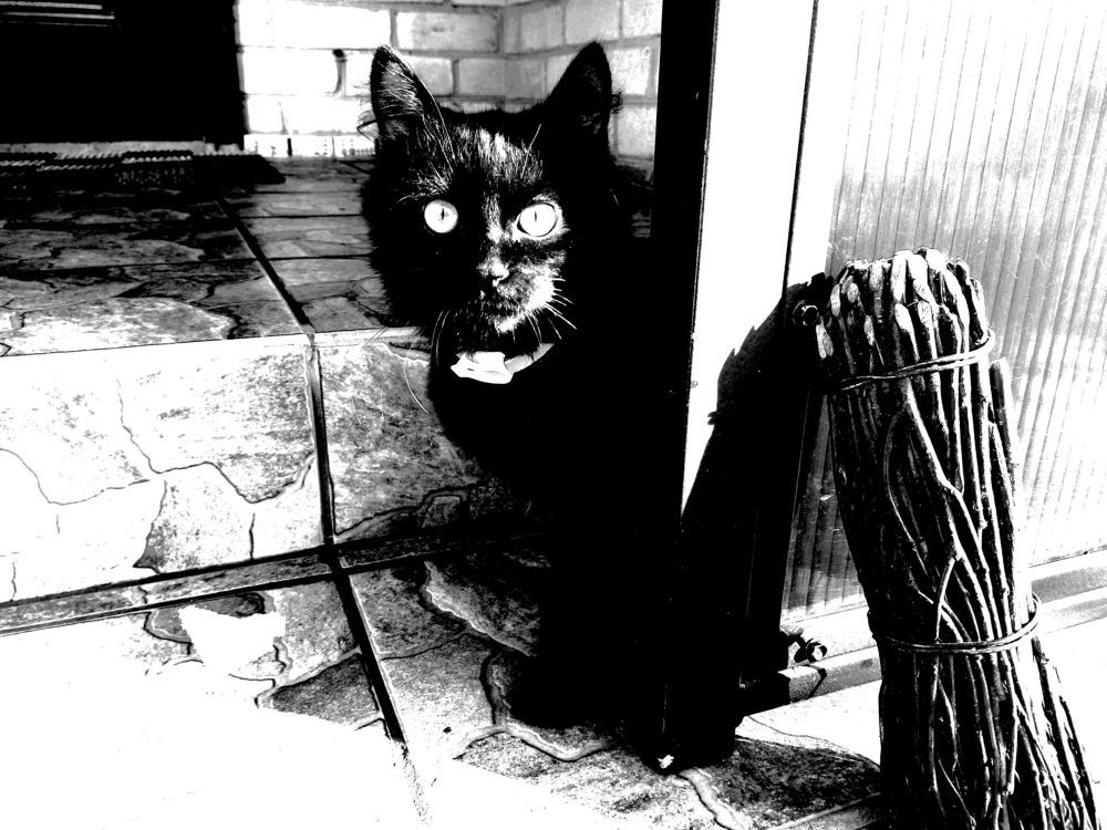 Photograph by Юлия Якимчик