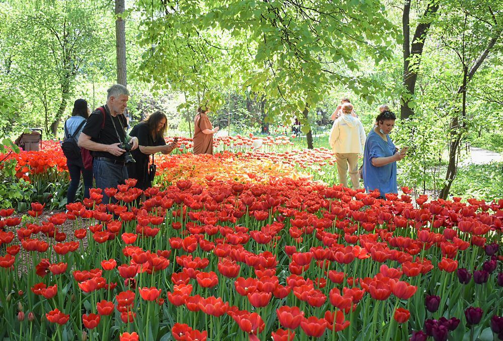 Photograph by Сергей Иванович Носов