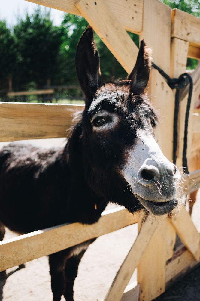 Photograph by Юлия Балдина