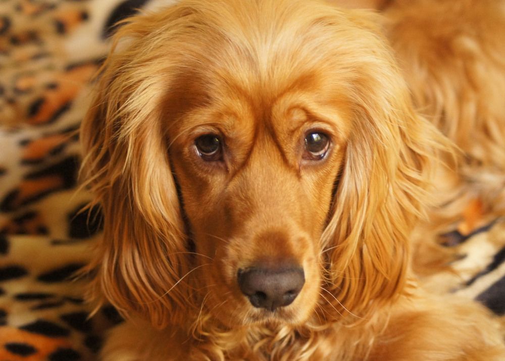 Photograph by Наталья