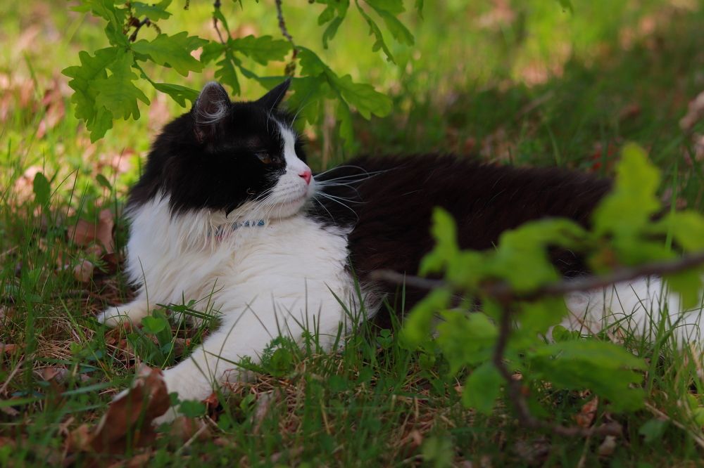 Photograph by Николай Круглов