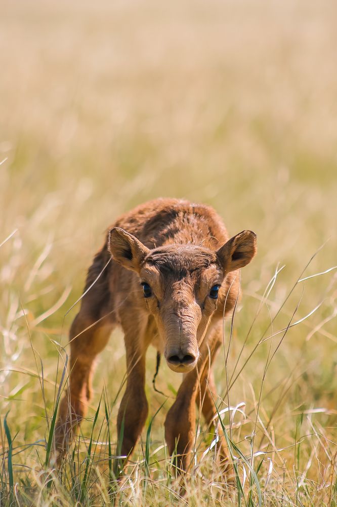 Photograph by Мейржан Мукаш