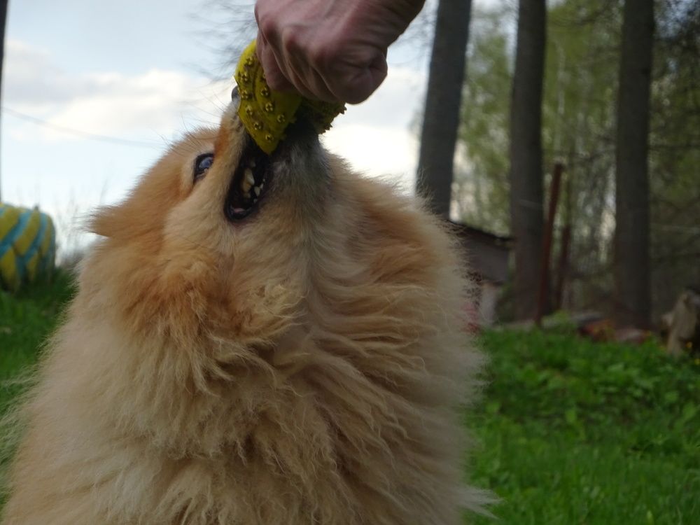 Photograph by Светлана Замятина