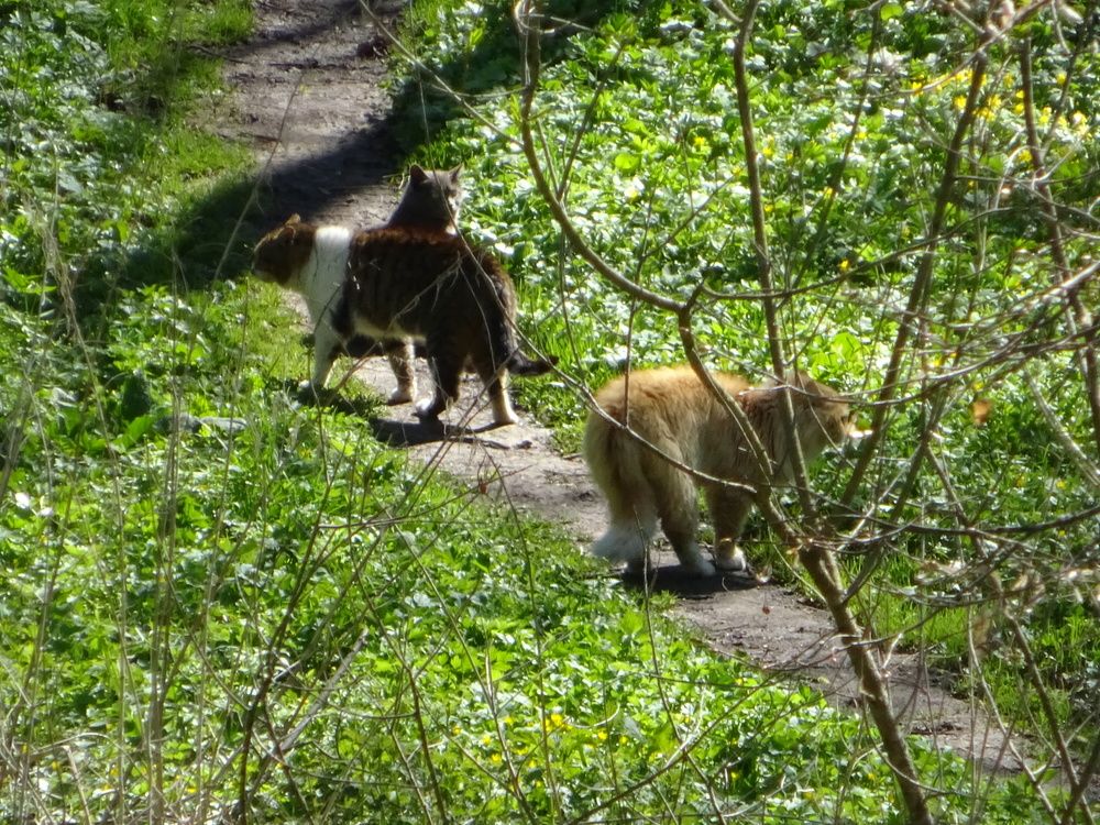 Photograph by Светлана Замятина