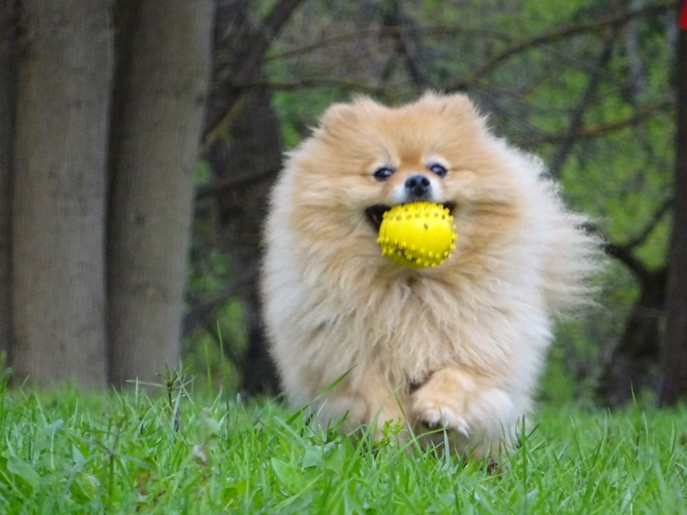 Photograph by Светлана Замятина