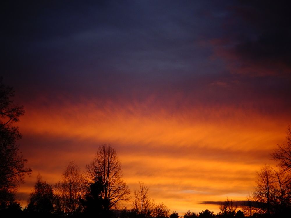 Photograph by Светлана Замятина