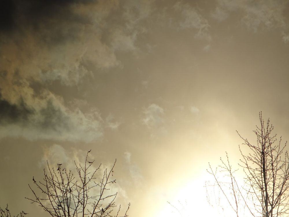 Photograph by Светлана Замятина