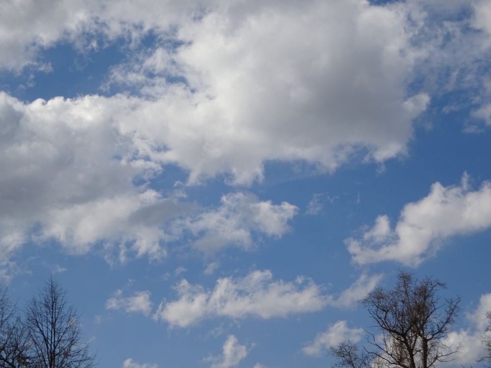 Photograph by Светлана Замятина