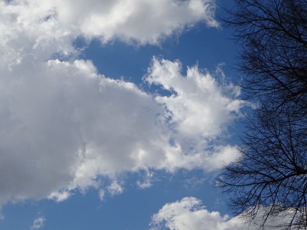 Photograph by Светлана Замятина