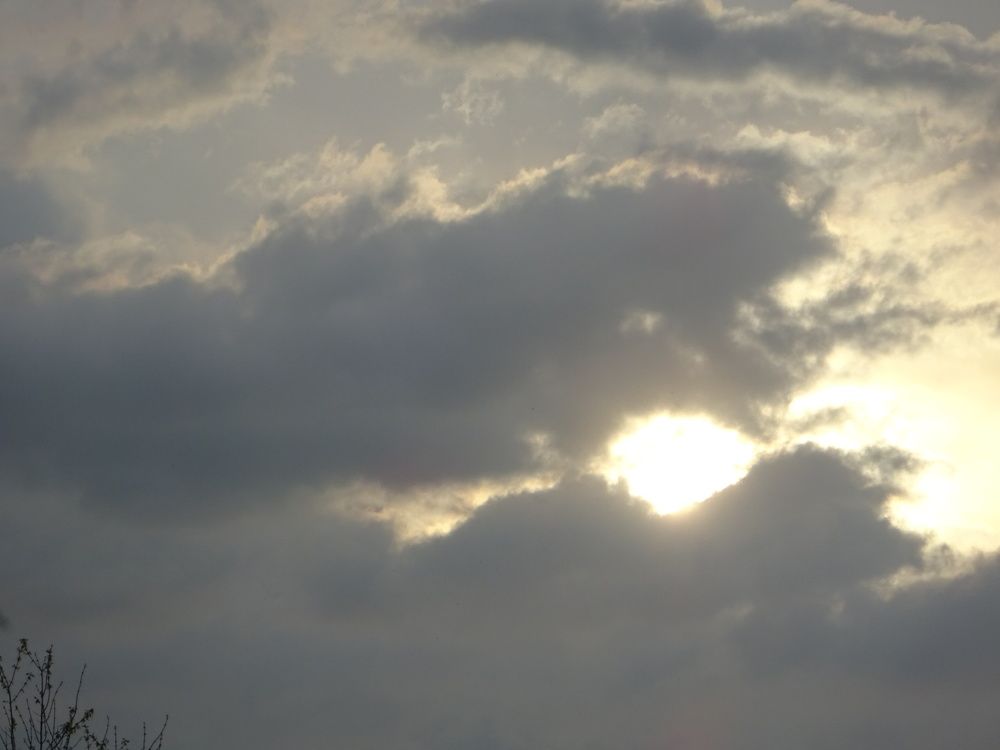 Photograph by Светлана Замятина