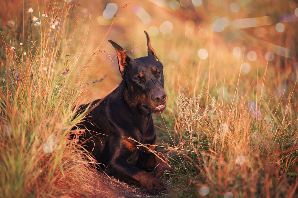 Photograph by Юлия Болдинова