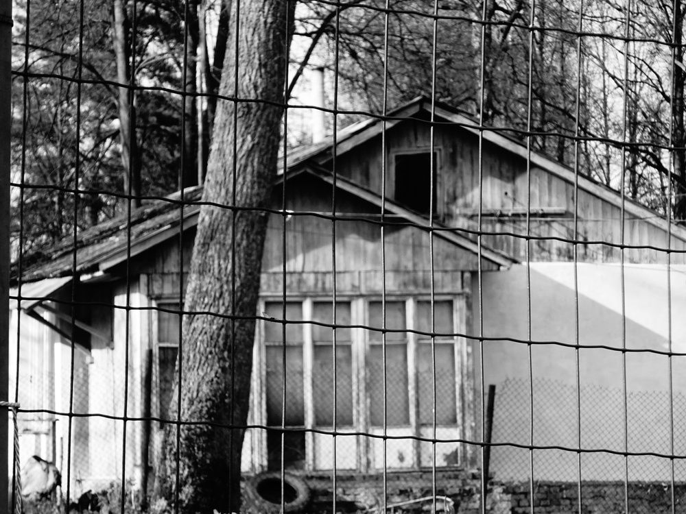 Photograph by Светлана Замятина