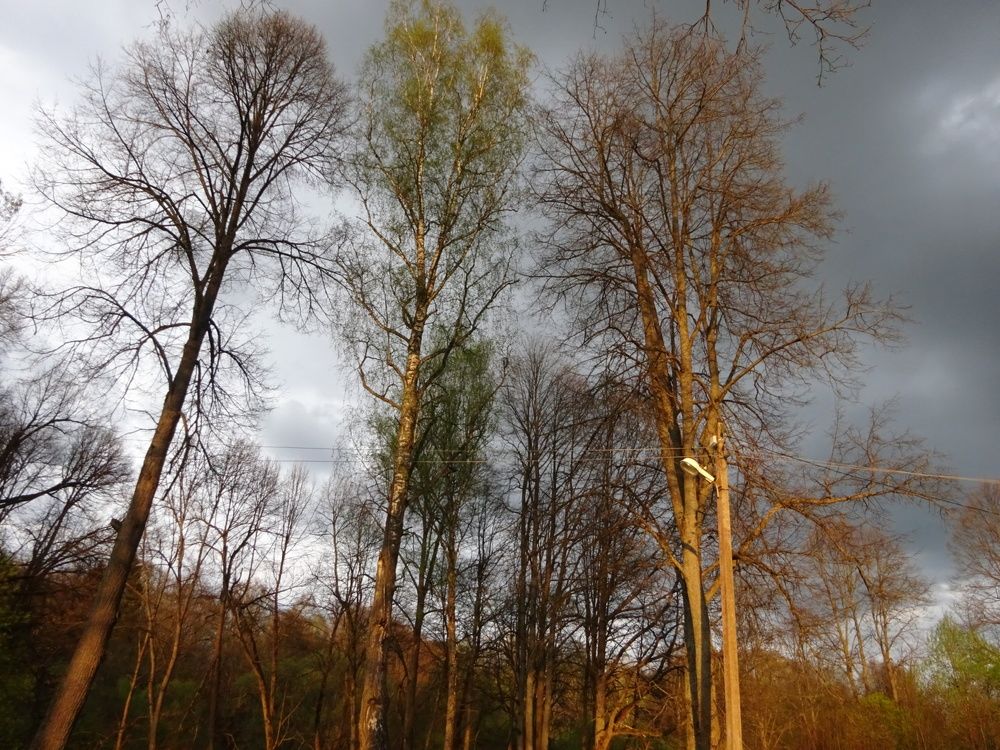 Photograph by Светлана Замятина