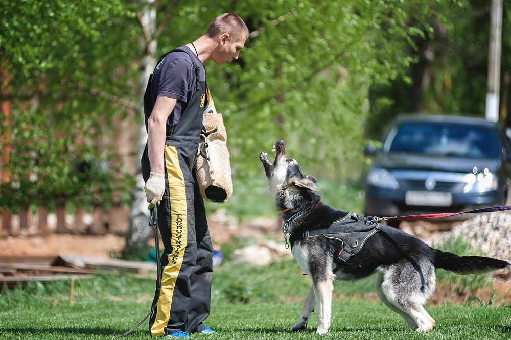 Photograph by Алексей Соколов