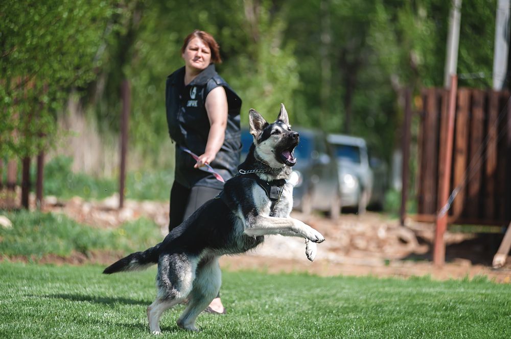 Photograph by Алексей Соколов