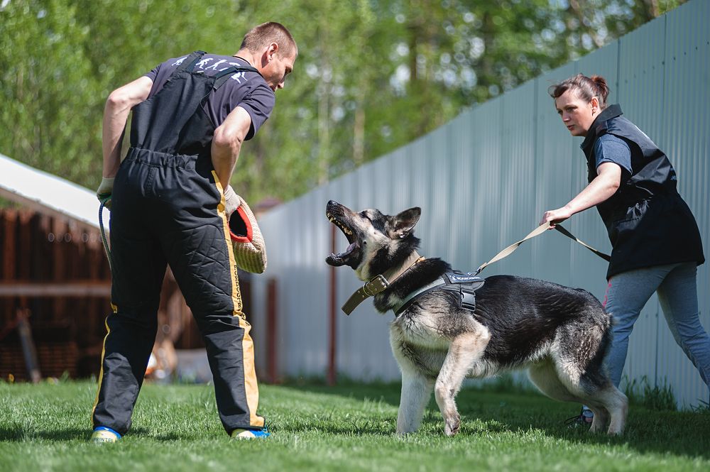 Photograph by Алексей Соколов